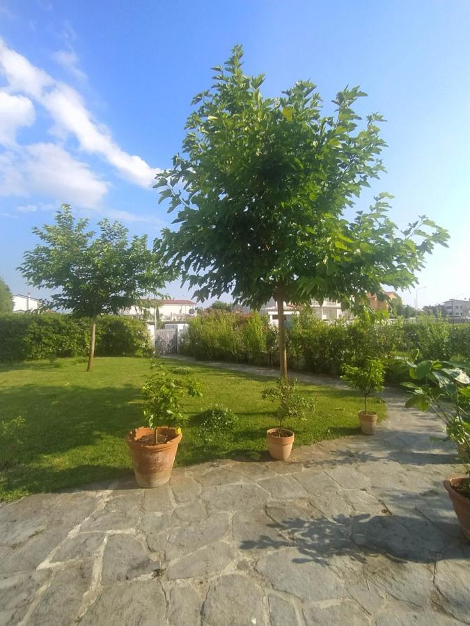 B&B Villa La Bouganville Камайоре Экстерьер фото