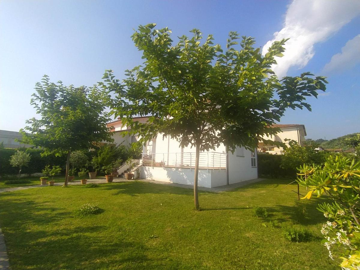 B&B Villa La Bouganville Камайоре Экстерьер фото