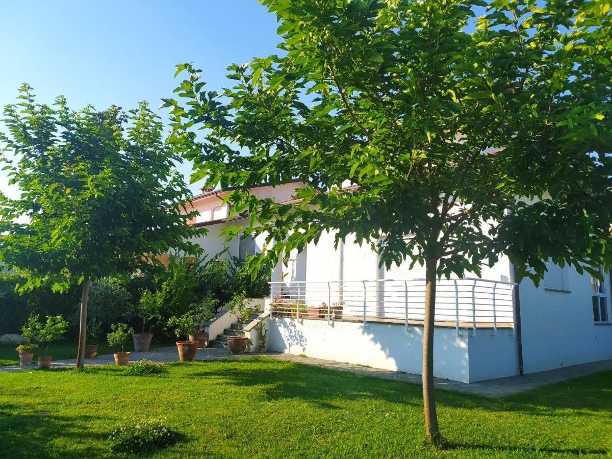 B&B Villa La Bouganville Камайоре Экстерьер фото